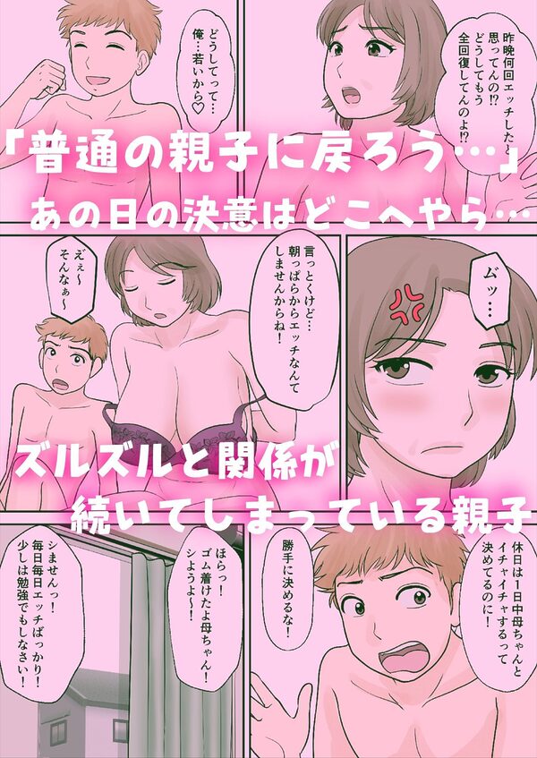 母子ふたり暮らし 第四章『壊関』 画像1
